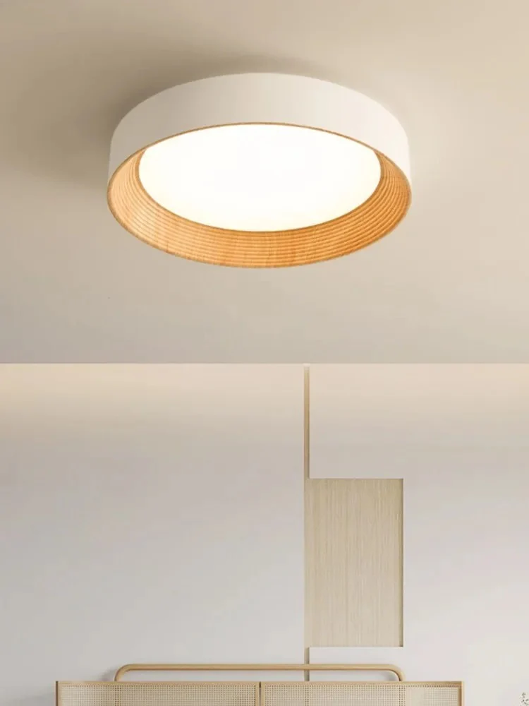 Minimal Luxe Ceiling Light - Image 3