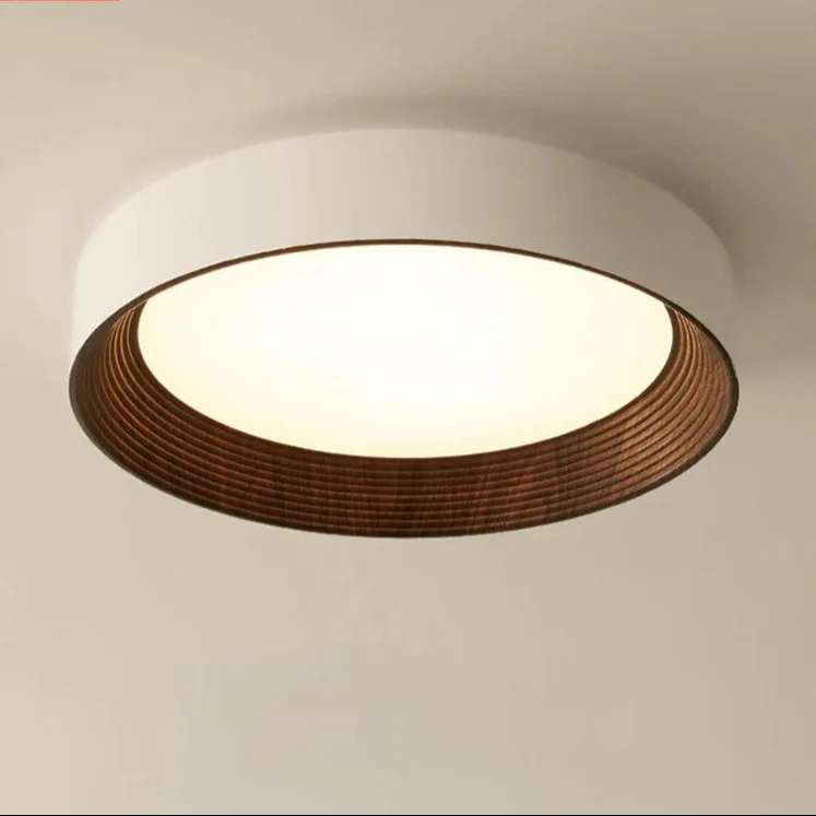Minimal Luxe Ceiling Light - Image 5