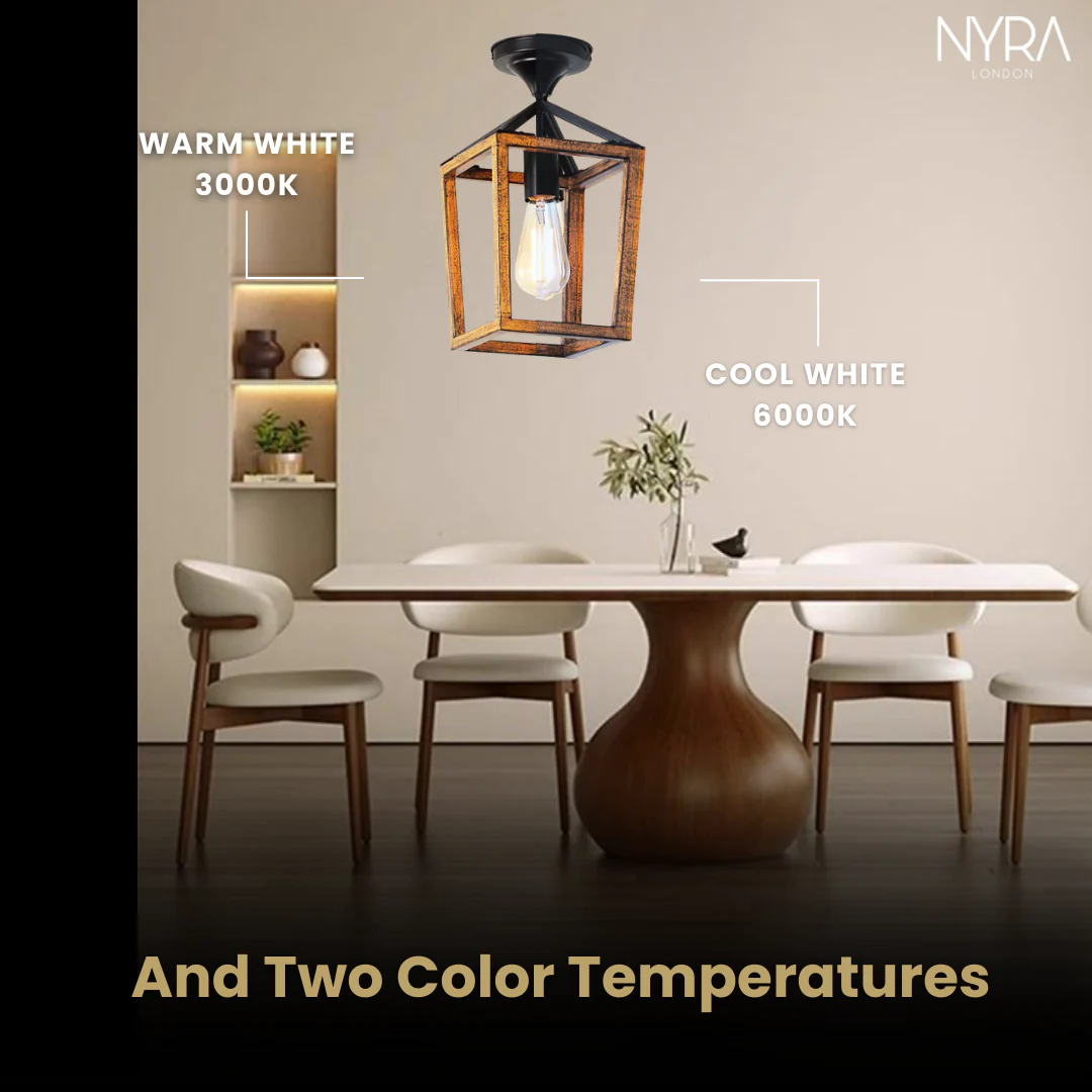 Ryder Ceiling Lights - Image 6